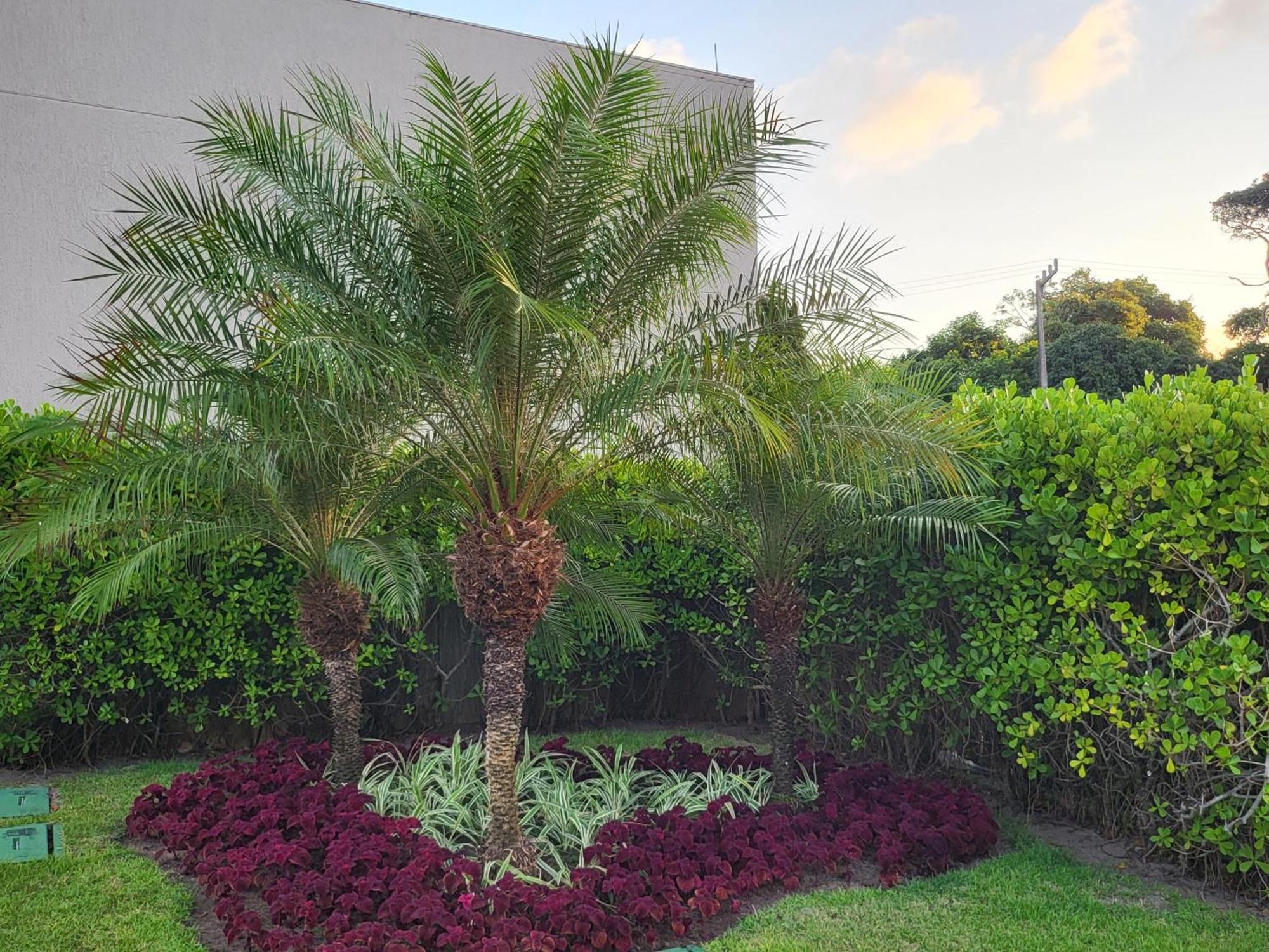 Boutique Ecolife Apartman Pôrto das Galinhas Kültér fotó