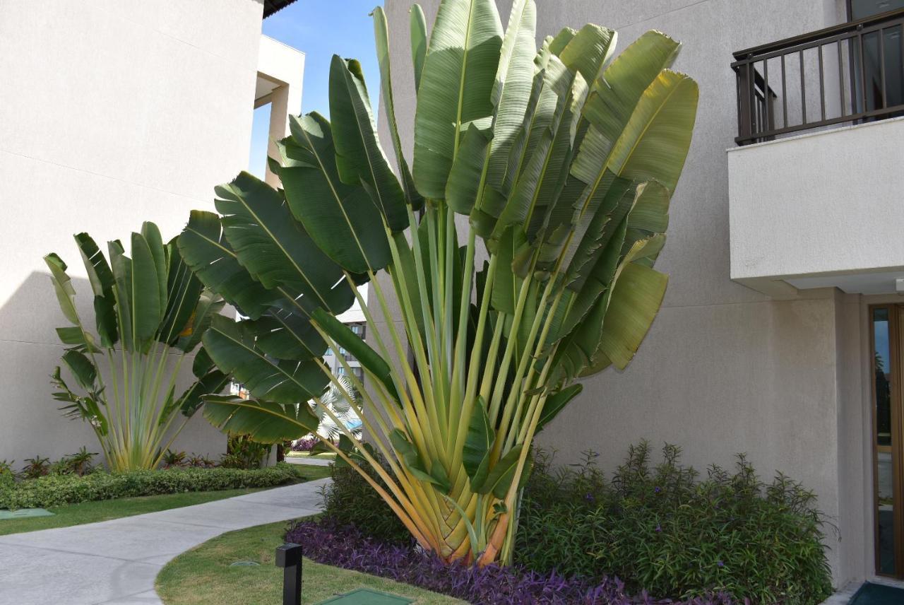 Boutique Ecolife Apartman Pôrto das Galinhas Kültér fotó